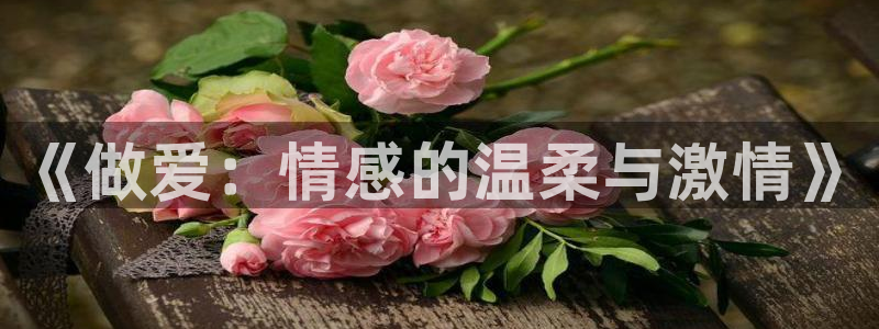 汗汗歪歪歪韩漫：《做爱：情感的温柔与激情》